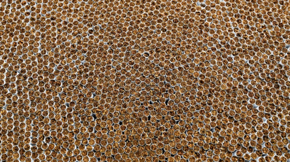 Zoll beschlagnahmt weit &uuml;ber f&uuml;nf Millionen unversteuerte Zigaretten in Paketen