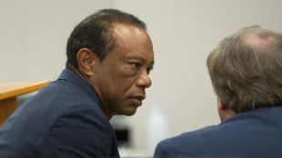 Tiger Woods renonce &agrave; son permis pour cinq ans en &eacute;change de l'abandon de charges plus lourdes