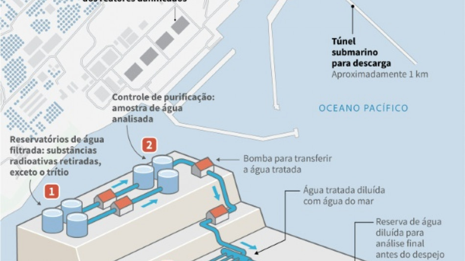 Primeiros despejos de &aacute;gua de Fukushima n&atilde;o s&atilde;o nocivos, afirma AIEA