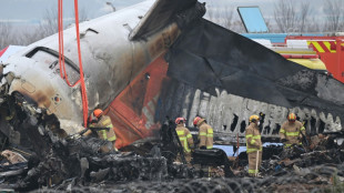 Corea del Sur investiga si muro con el que choc&oacute; el avi&oacute;n de Jeju Air respetaba las normas