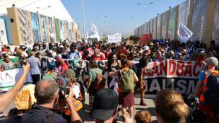 Hunderte fordern auf Gelände von COP27 Freilassung von Aktivist Abdel Fattah
