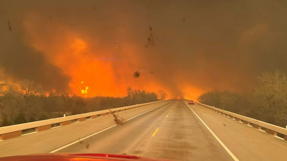 Etats-Unis: un mort dans des incendies hors de contr&ocirc;le au Texas