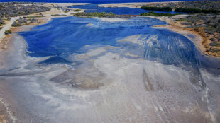 La justicia ordena a Pa&iacute;ses Bajos a proteger a la isla de Bonaire contra el cambio clim&aacute;tico