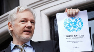 Advogado de Assange defende liberdade de informa&ccedil;&atilde;o para evitar extradi&ccedil;&atilde;o
