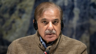 Pakist&aacute;n "tendr&aacute; que aceptar" las condiciones del FMI, advierte el primer ministro
