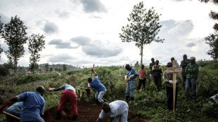 Una epidemia de &eacute;bola en RDC deja al menos cuatro muertos