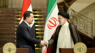 Ir&aacute;n e Irak prometen cooperar para luchar contra el "terrorismo"