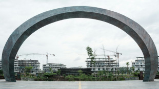 Premi&egrave;re r&eacute;union du gouvernement indon&eacute;sien dans la future capitale, Nusantara