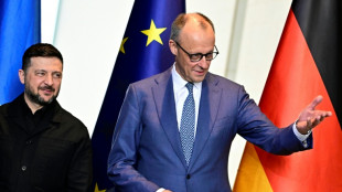 Kiew und Berlin erweitern Beziehungen zu neuer Strategischer Partnerschaft