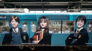 Subastar&aacute;n en Nueva York una ilustraci&oacute;n del primer volumen de Harry Potter