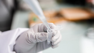 Emofilia B, primo paziente italiano curato con terapia genica