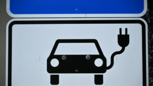 Koalition einigt sich auf Kaufpr&auml;mie f&uuml;r E-Autos und Plugin-Hybride