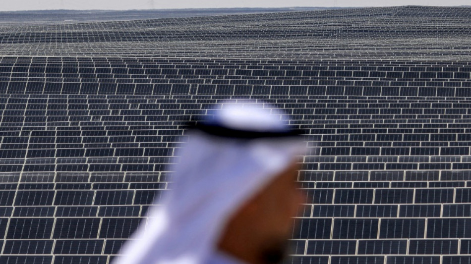 Emiratos &Aacute;rabes Unidos, gran productor de petr&oacute;leo y gas y anfitri&oacute;n de la COP28