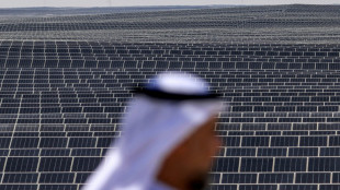 Emiratos &Aacute;rabes Unidos, gran productor de petr&oacute;leo y gas y anfitri&oacute;n de la COP28