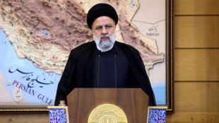 Presidente iran&iacute; llega a Arabia para cumbre sobre Gaza