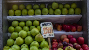Chile comienza 2023 con una inflaci&oacute;n del 0,8% en enero y acumula un 12,3% interanual