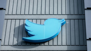 Fact Check: How to spot impostor Twitter accounts