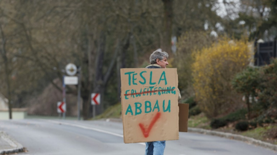 Unos activistas protestan contra la ampliaci&oacute;n de la planta alemana de Tesla