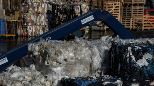 433 Kilo pro Kopf: Menge der Haushaltsabfälle sinkt 2023 auf neuen Tiefststand