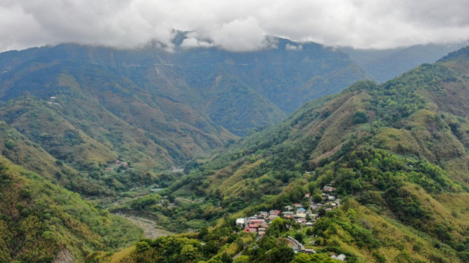 La sequ&iacute;a destroza la cosecha de bamb&uacute; de una tribu de Taiw&aacute;n