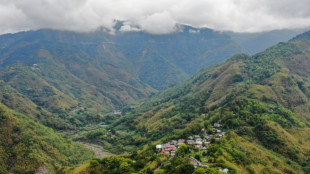 La sequ&iacute;a destroza la cosecha de bamb&uacute; de una tribu de Taiw&aacute;n
