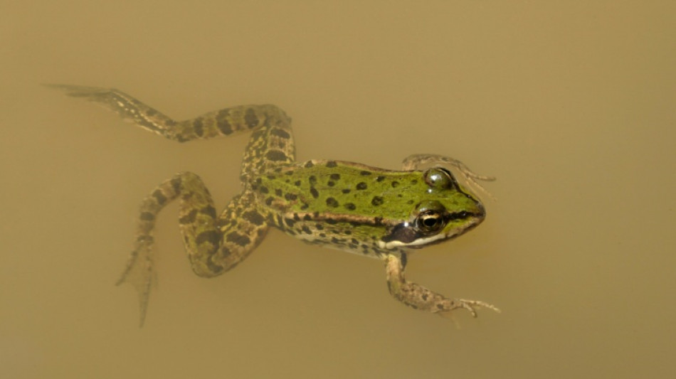 Natursch&uuml;tzer kritisieren von Koalition geplante Einschr&auml;nkung von Verbandsklagerecht