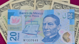 M&eacute;xico coloca dos bonos por 4.000 millones de d&oacute;lares