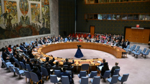 Conselho de Seguran&ccedil;a da ONU apoia plano de tr&eacute;gua em Gaza