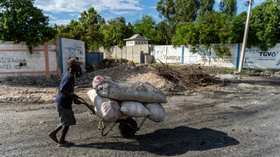 El FMI aprueba 105 millones de d&oacute;lares para combatir la emergencia alimentaria en Hait&iacute;