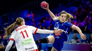 Mondial de hand: test d'effort contre l'Allemagne pour une finale