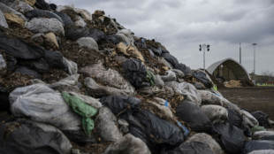 Nuevo plan de reciclaje org&aacute;nico de Nueva York, tan ambicioso como pol&eacute;mico