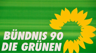Parteikreise: Gr&uuml;nen-Politikerin Paus wird neue Bundesfamilienministerin 