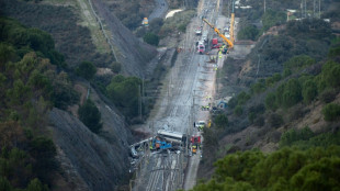 Aumenta a 46 el saldo de muertos por la cat&aacute;strofe ferroviaria en Espa&ntilde;a