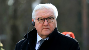 Steinmeier will Pl&auml;ne f&uuml;r Ukraine-Reise wieder aufgreifen