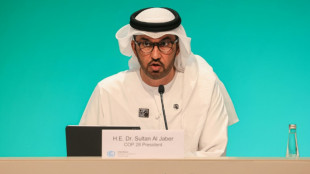El presidente de la COP28 dice que conf&iacute;a en la ciencia clim&aacute;tica tras las cr&iacute;ticas