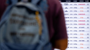 El fallo inform&aacute;tico global pone a prueba los ciberseguros