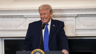 Trump, 'tutti i dazi rimangono, abbiamo alternative'