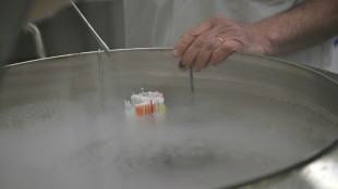 La bajada de la fertilidad se acentuar&aacute; en el mundo, seg&uacute;n un estudio