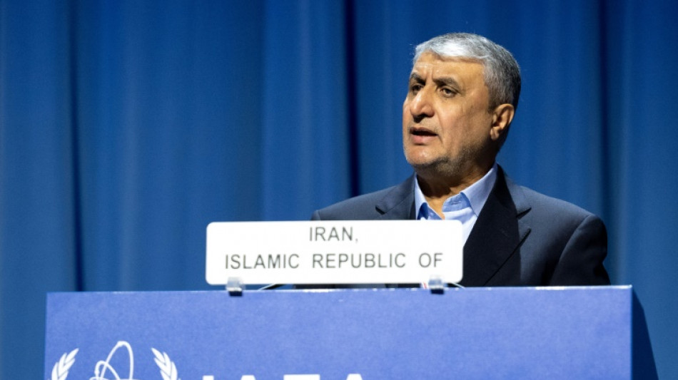 Pa&iacute;ses occidentales presentan una resoluci&oacute;n contra el programa nuclear de Ir&aacute;n