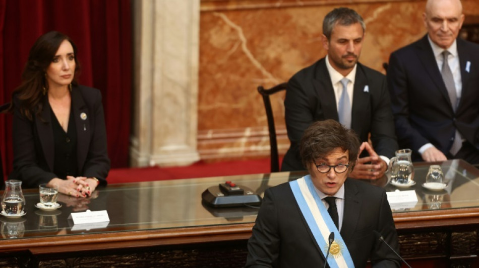 Milei dijo que vetar&aacute; leyes si es necesario para alcanzar "d&eacute;ficit cero" en 2025