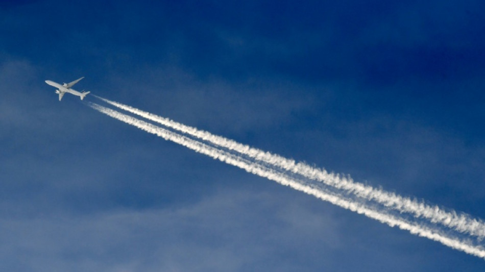 El sector a&eacute;reo de la UE pide una "revisi&oacute;n inmediata" del nuevo sistema de control fronterizo