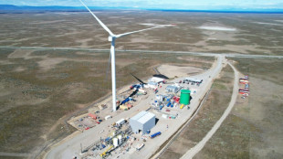 Chile pone en marcha primera planta que mezcla hidr&oacute;geno verde con CO2 (gobierno)