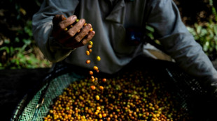 El agronegocio brasile&ntilde;o, fuente de pujanza y controversias