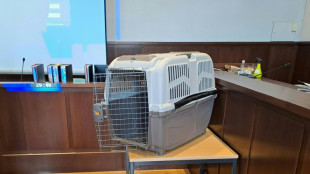 Condenan a 20 a&ntilde;os de c&aacute;rcel a una madre austr&iacute;aca por torturar a su hijo en una jaula para perros