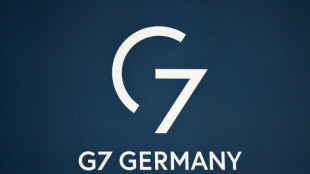 Deutschland l&auml;dt vier Partnerl&auml;nder zum G7-Gipfel ein