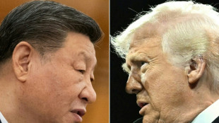 Most markets rise as traders eye possible Trump-Xi talks