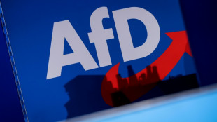 Wahlplakat mit Hitlergru&szlig;: Urteil gegen Brandenburger AfD-Abgeordneten rechtskr&auml;ftig