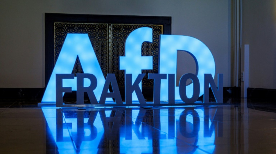 Merz au défi de freiner l'extrême droite à l'Est, 35 ans après la réunification allemande