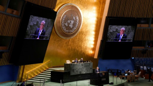 La Asamblea General de la ONU pide que se respete la "tregua ol&iacute;mpica"