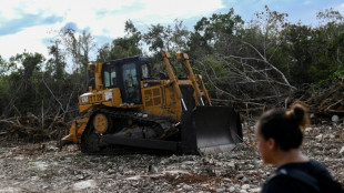Un juez frena la construcci&oacute;n de un tramo del Tren Maya en M&eacute;xico